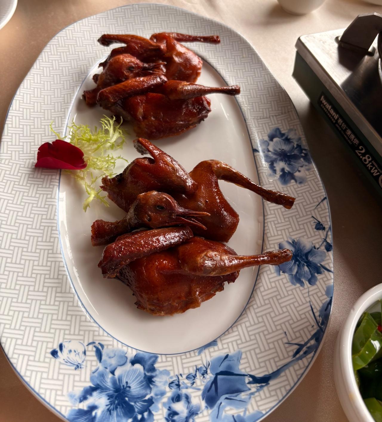 在广东来说的话，鸽子是一道美食，
但在不同的地方，
鸽子的出品质量也不一样，
大
