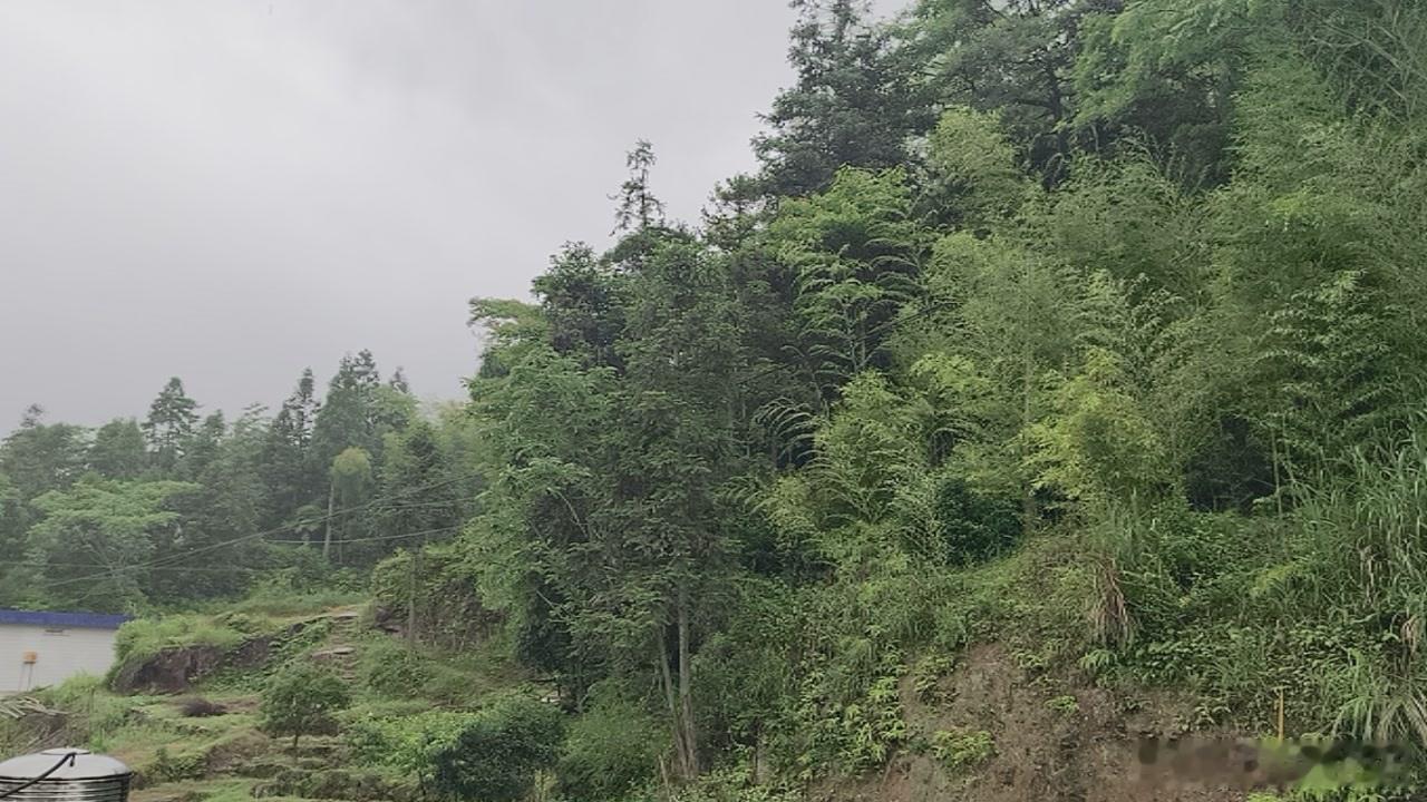 黄岩 早上好！ 