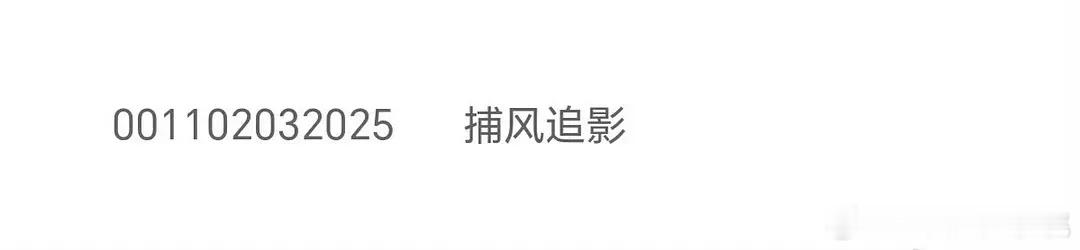 《捕风追影》已上专资，预售即将开启。压一个票房 ​​​