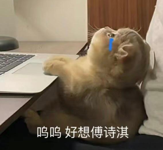 戒断很难……呜呜，好想傅诗淇，不止呜呜想，也不止乌乌想，蓓蓓也想