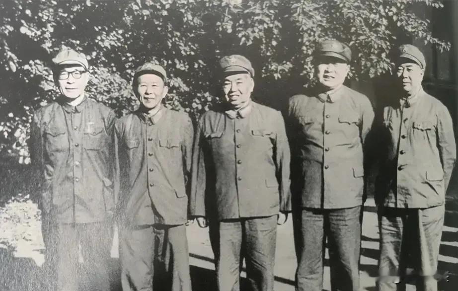 1971年，是一个极不平凡的年份，毛主席的一次委托，让两位将军——李德生与许世友