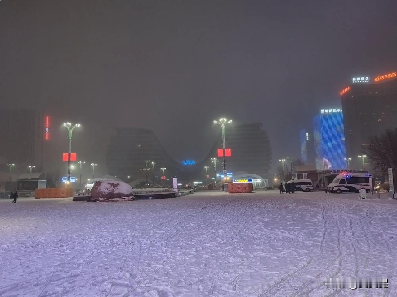 小雪大雪飘，琼花漫舞来。
寒天扬素蕊，旷野覆银白。
风抚千枝颤，云遮万径埋。
凭