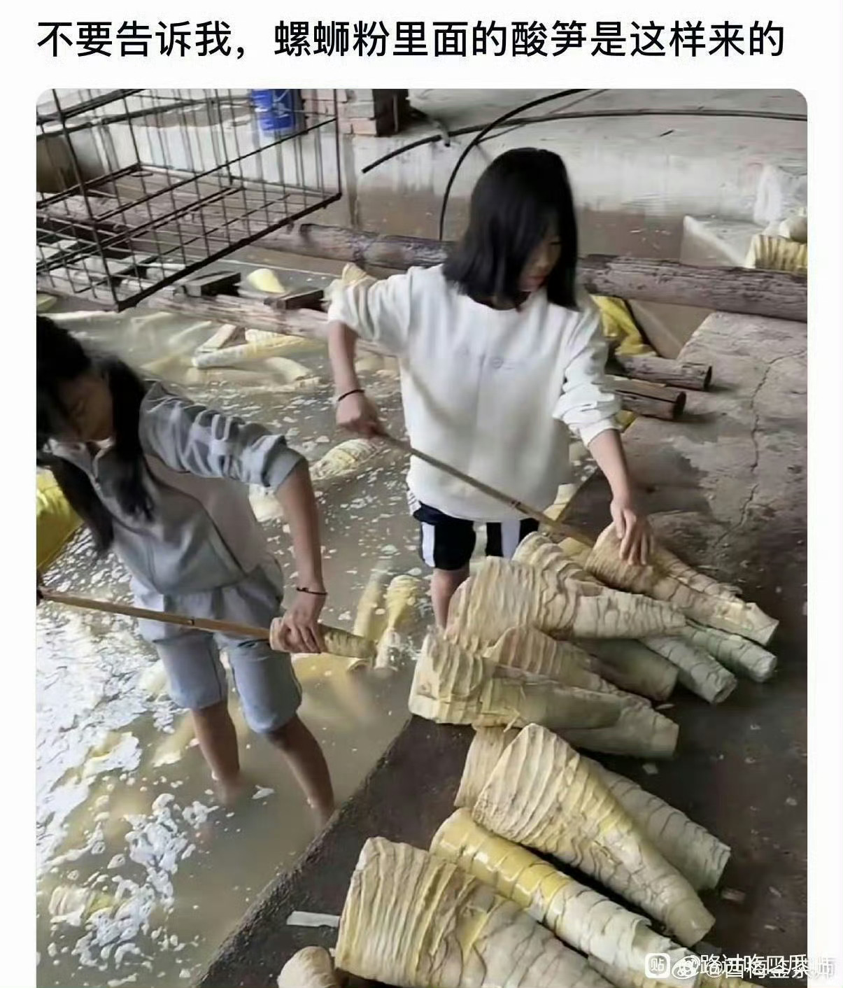 不要告诉我，螺蛳粉里面的酸笋是这样来的[跪了]一个爱吃螺蛳粉的小女孩轻轻地碎了 