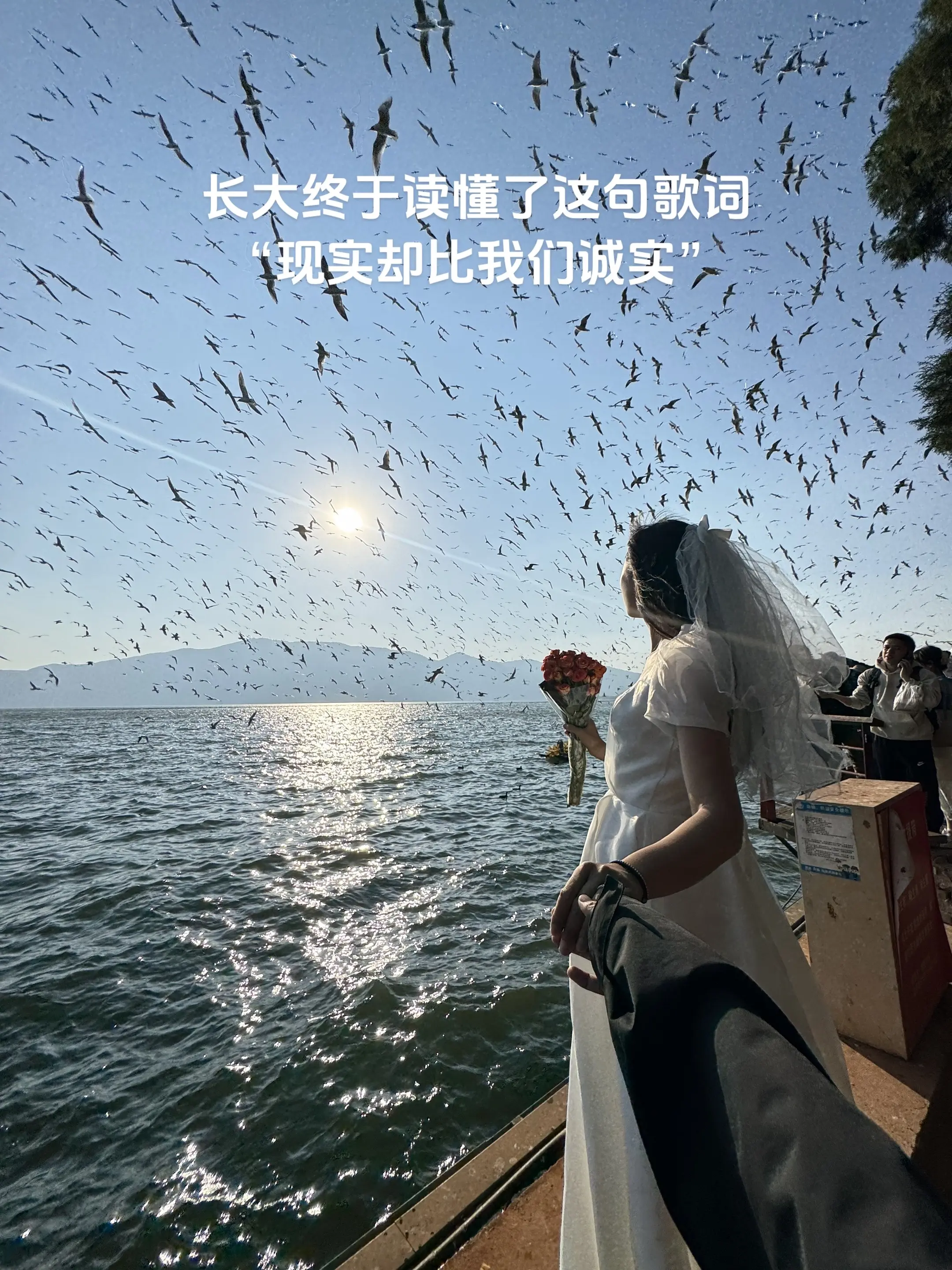 现实却比我们诚实