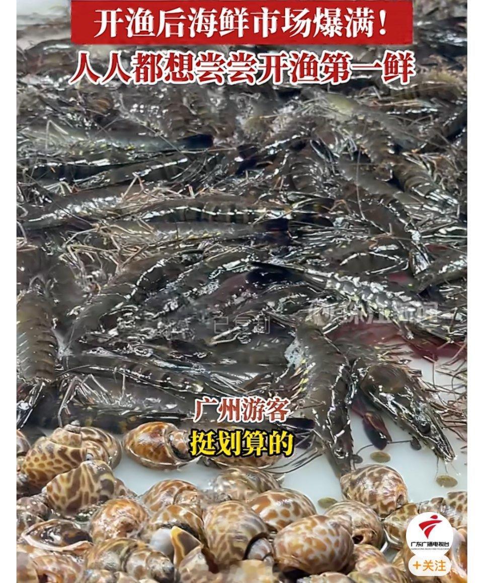 广东海鲜价格暴跌南海开渔第一波渔获上岸，广东阳江的海鲜市场直接被人群挤爆，皮皮虾