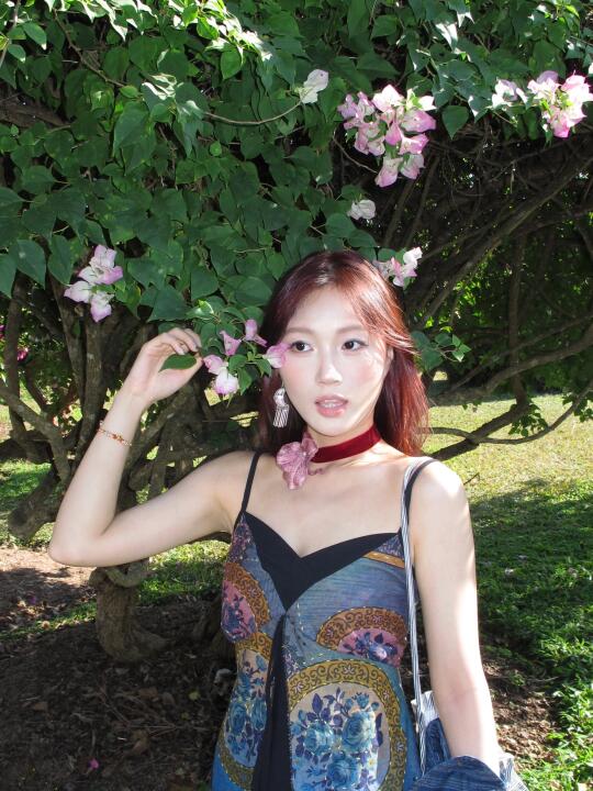 生命是一万次的春和景明🌷✨西双版纳ccd回忆