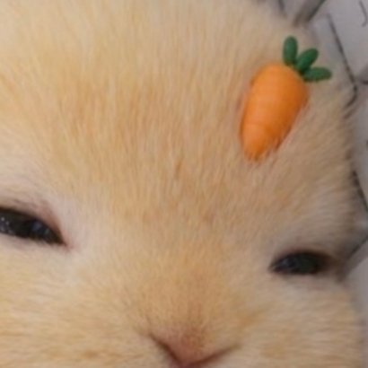 0000明天见 