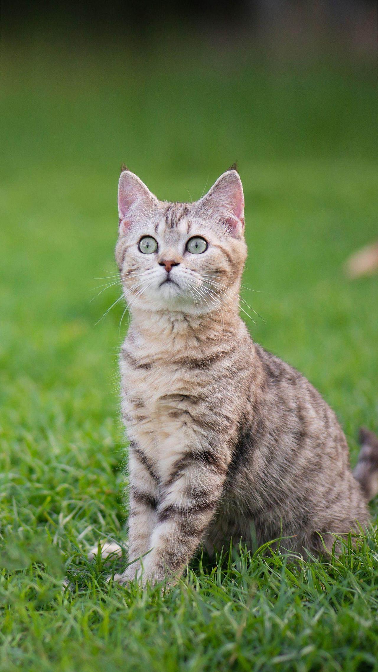 是教育的漏洞，还是道德的缺陷？
市民公园公园争议公益事业环保意识公民教育
昨日，