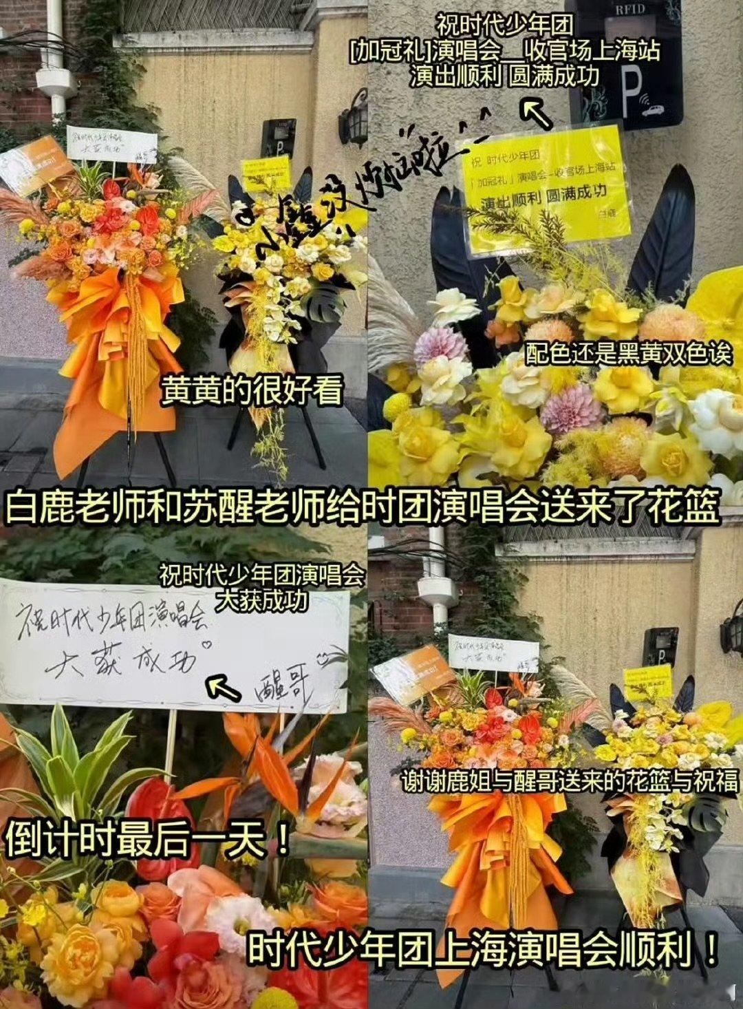 好多明星送时代少年团花篮时代少年团上海演唱会的花篮 好多明星送时代少年团花篮，可