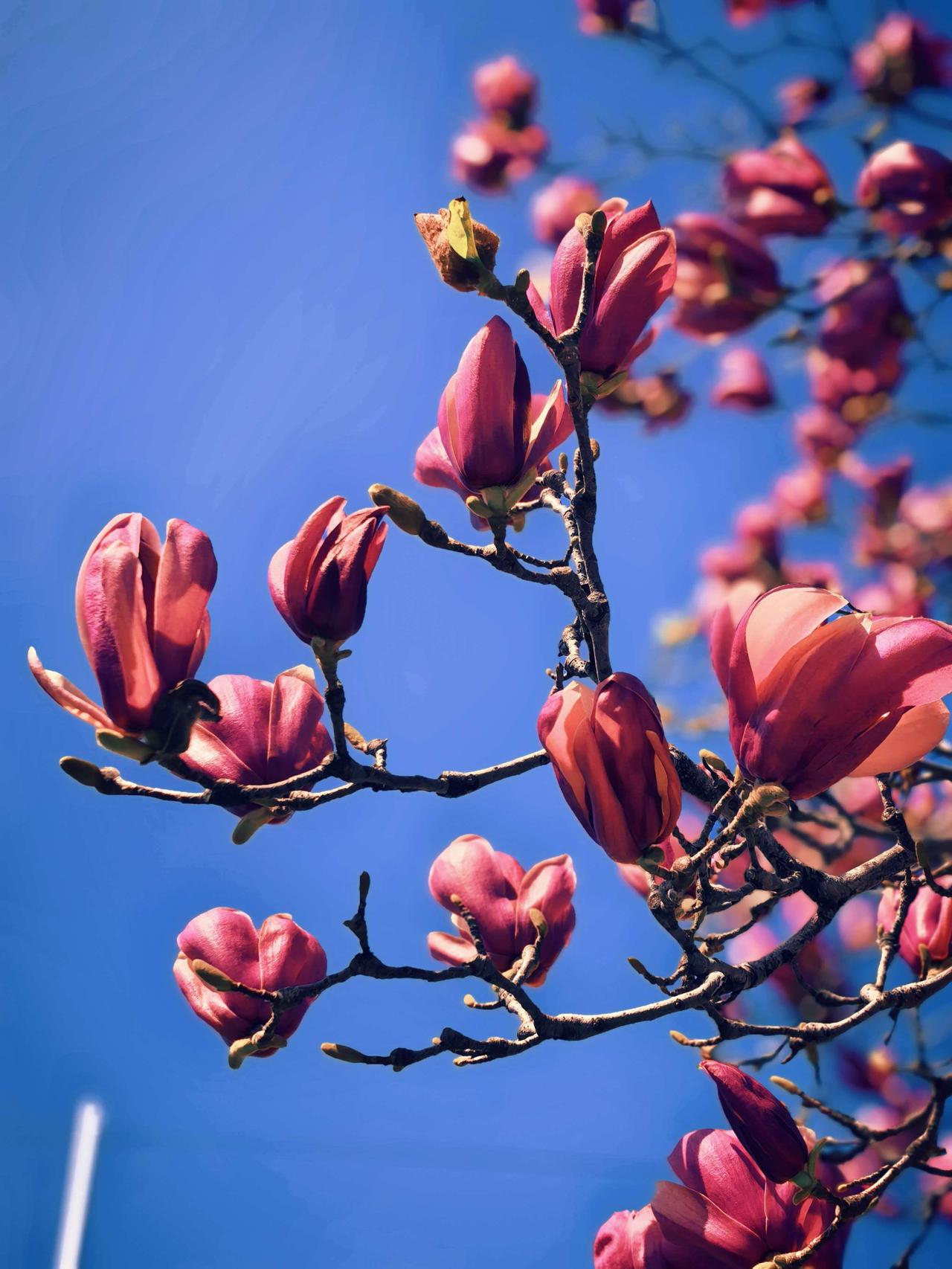 ‼️‼️泰兴真是好样的！[赞][赞]
     为了满足市民户外露营、亲子休闲等