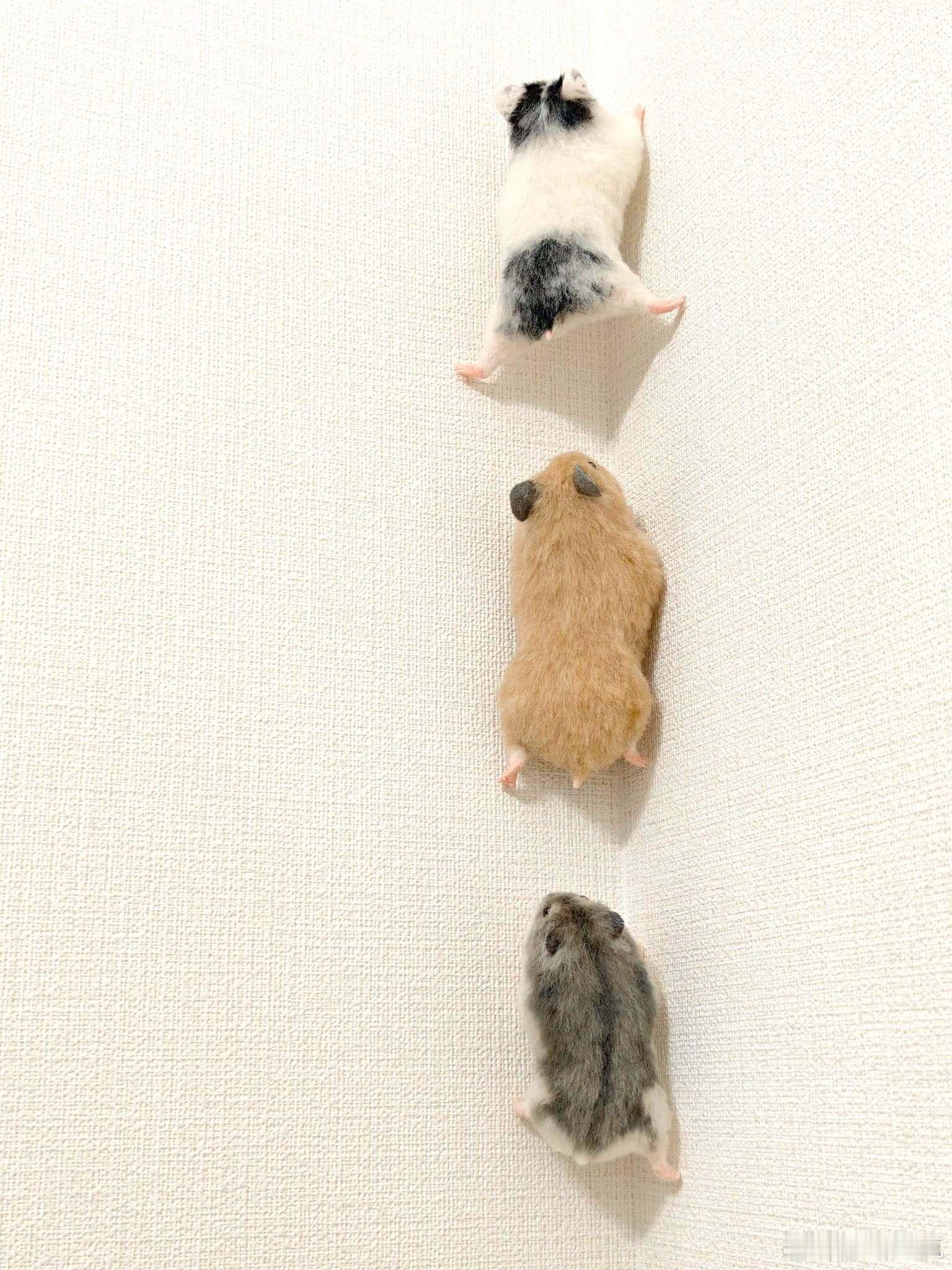 出发冒险咯！（这是手工作的仓鼠羊毛毡） 