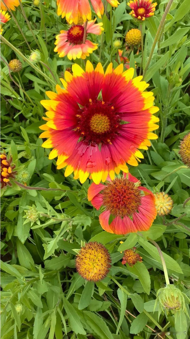 很有趣的提问。
家里家外，环境不同。
万个家庭，千般状态。
老中青境况不一，任谁