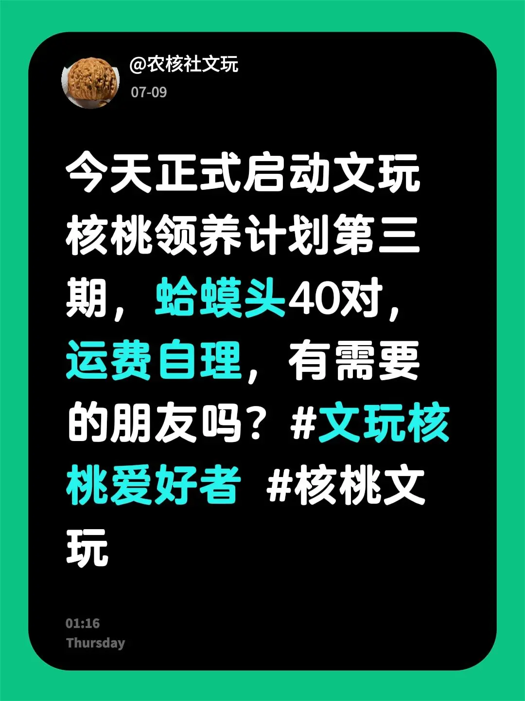 今天正式启动文玩核桃领养计划第三期，蛤蟆头40对，运费自理，有需要的朋友吗？