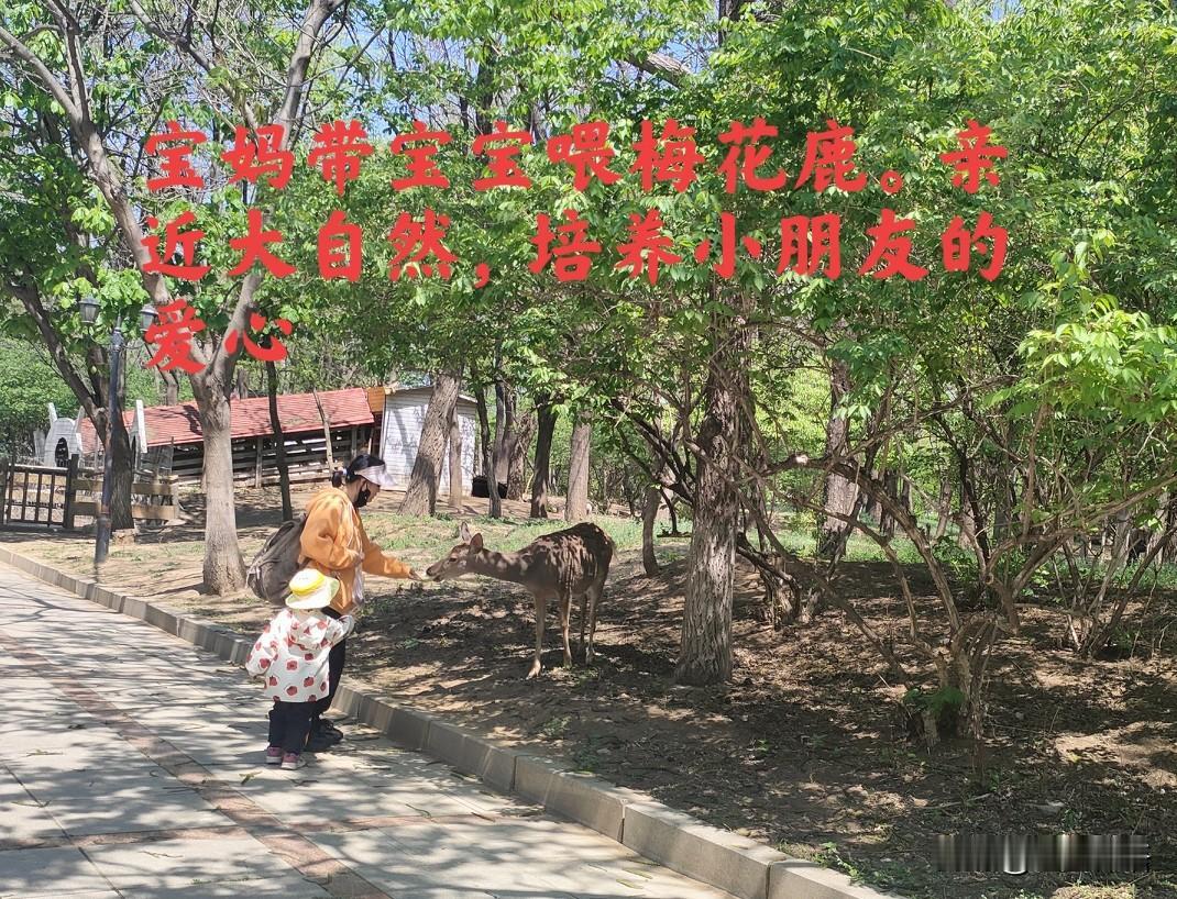 五一，来一场说走就走的旅行

1.出行攻略:

避开热门、远道景区，不去热门景点