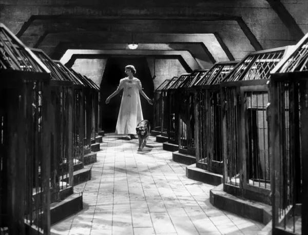 早安🌞今天是乔治·弗朗叙诞辰112周年。图：《没有面孔的眼睛》乔治·弗朗叙（1