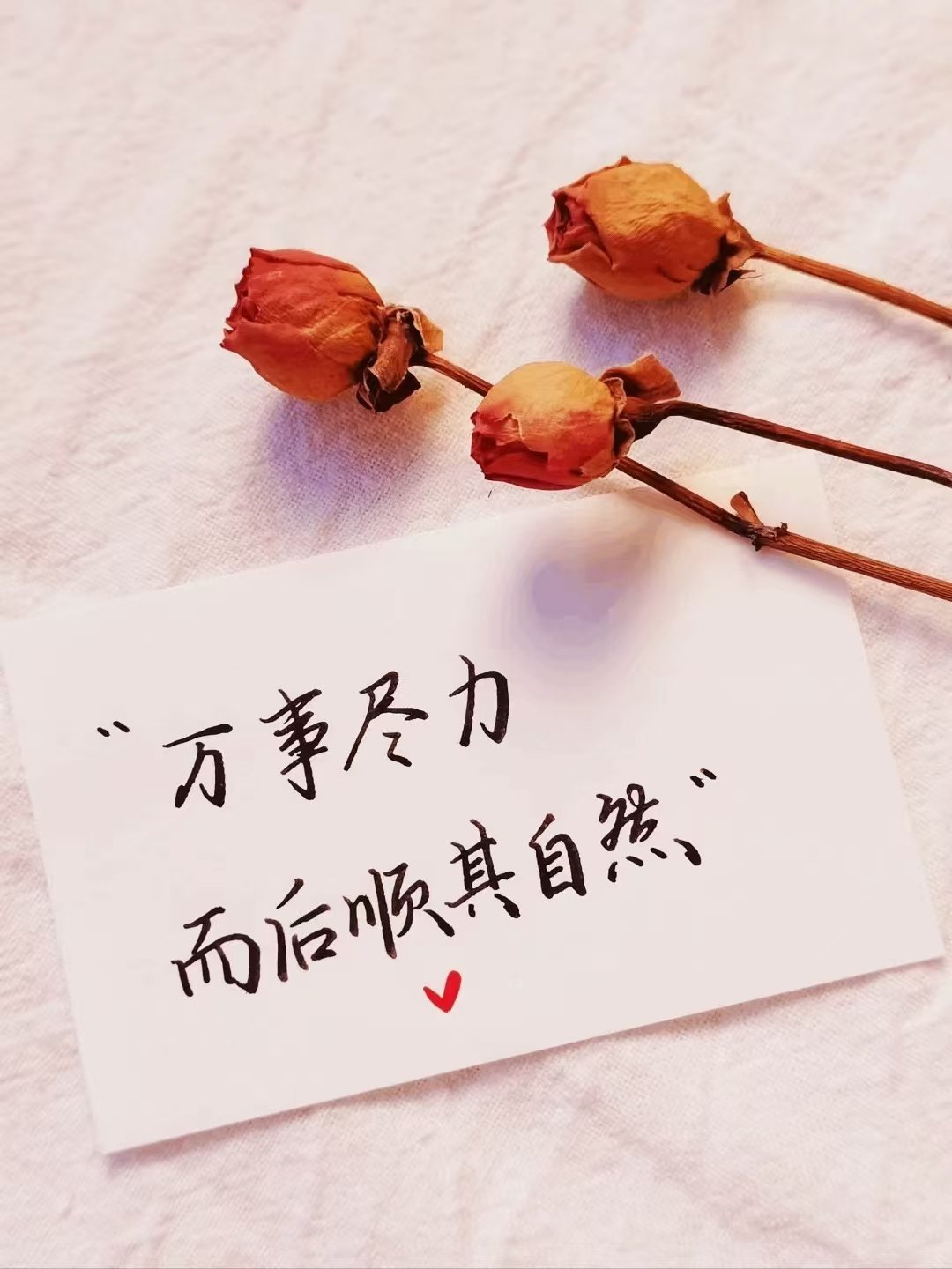 人这一辈子， 不要奢求太多， 健康地活着， 开心地笑着， 合理地忙着， 剩下的全