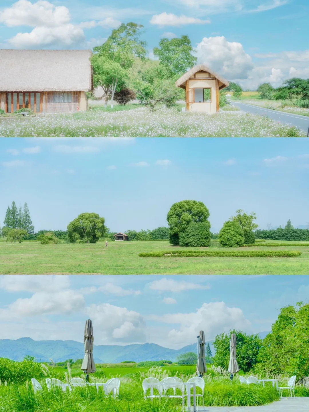 杭州city walk丨好爱这条旅行路线