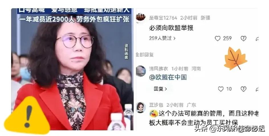 他们赌的是，应届生没力气闹到欧洲去。结果学生真把材料递了。宝马、奔驰、大众，一家