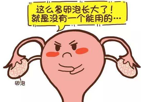 多囊的姐妹，为什么减肥这么难？
有没有多囊姐妹发现：闺蜜少吃几顿就瘦10斤，你运