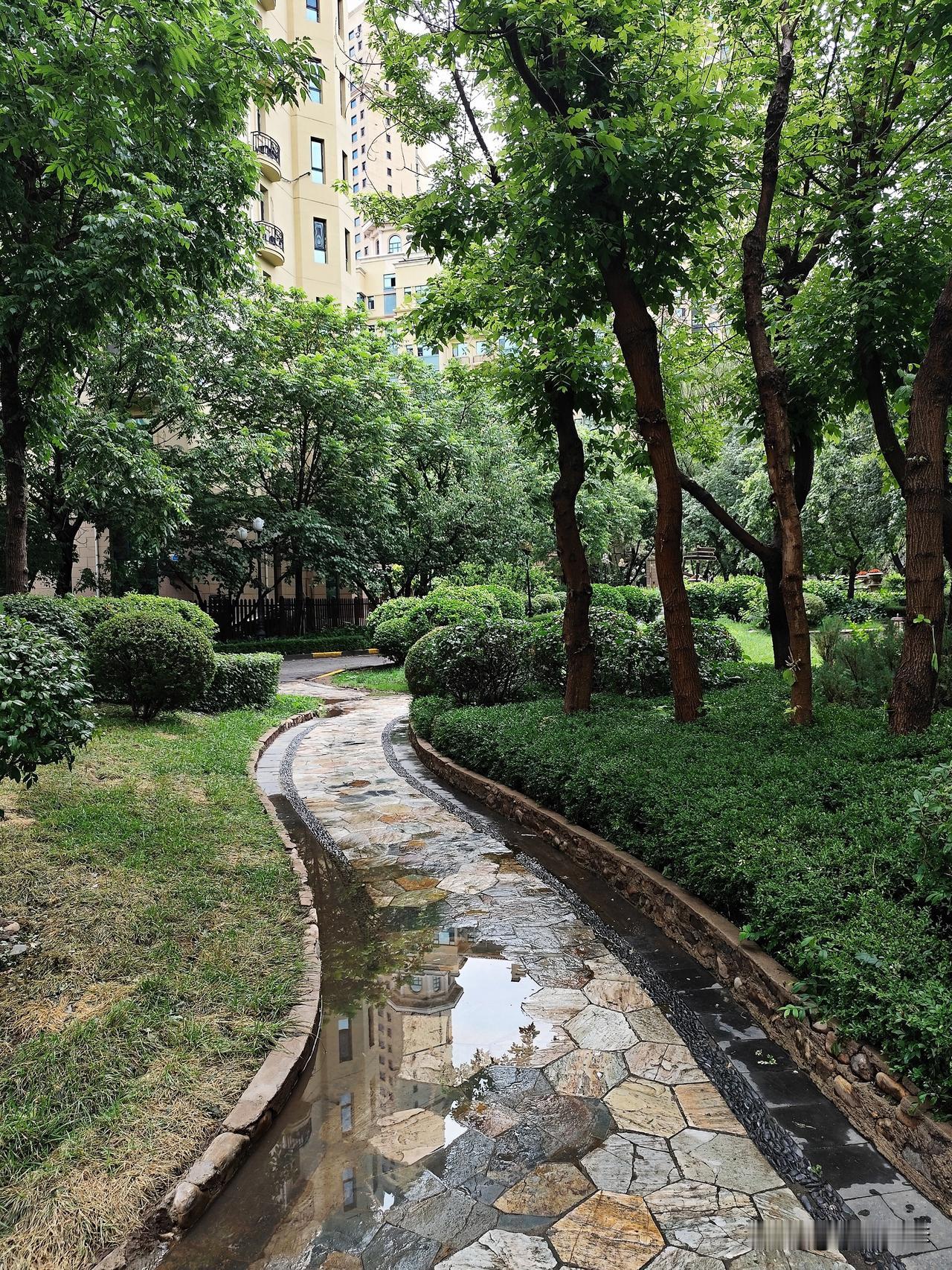 沈阳的夏天，不是那么酷热。
沈阳城区位于辽宁省的中部，夏天的气温不是那么酷热。尤