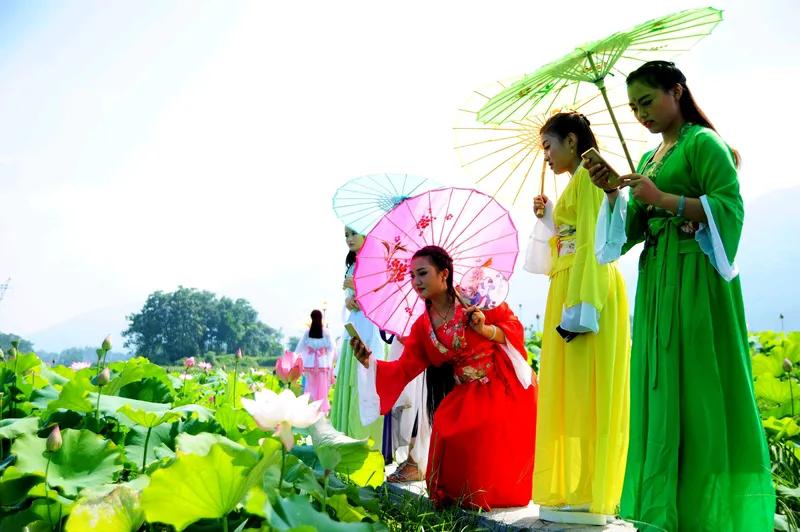 无花无果无绿意
有蓬有藕有红莲