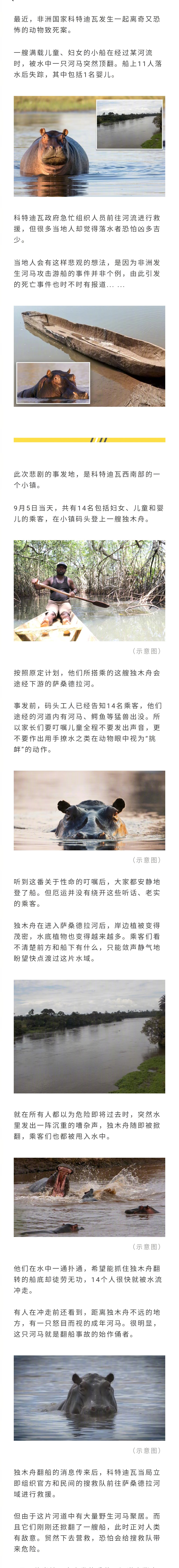 #河马撞翻船只致11人失踪#非洲科特迪瓦的一艘独木舟遭到河马攻击，11人落水失联