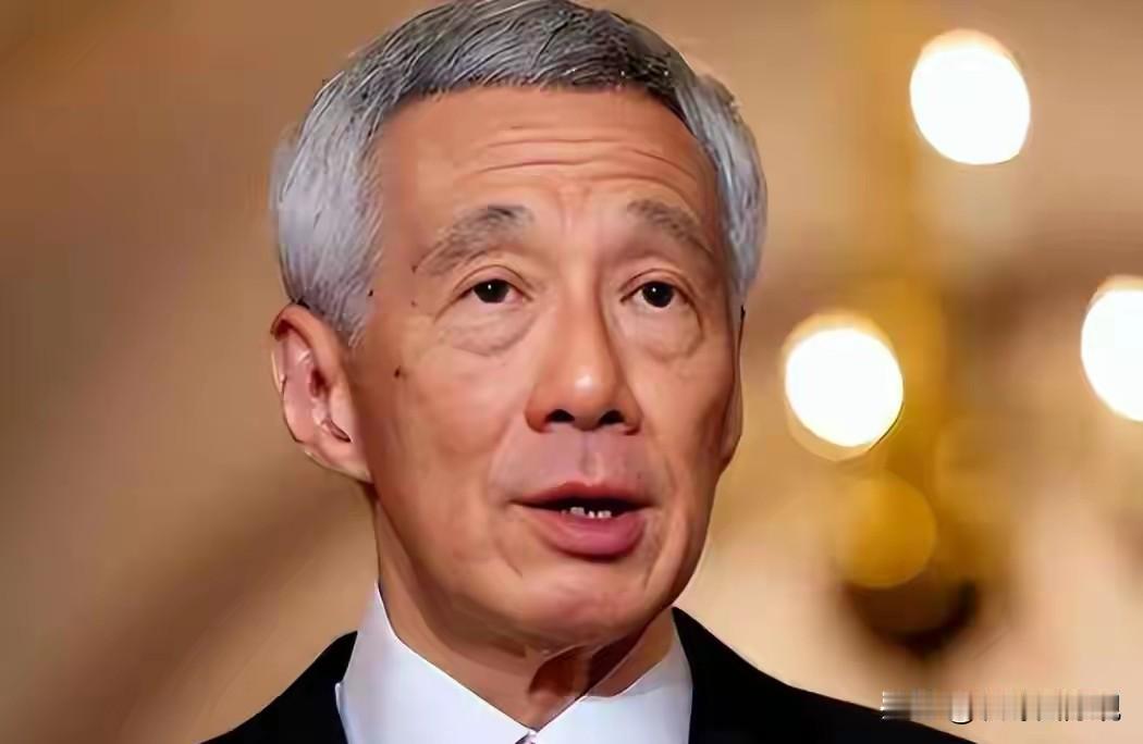 李显龙想多了吧！
来中国寻求合作又担心西方国家多想，
回国后故意放出言论，
与中