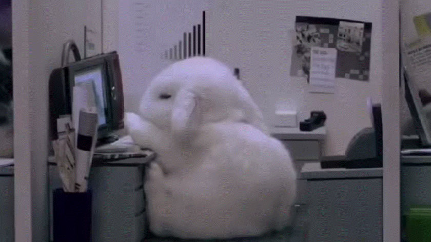 希望跟☁和🐳一起拍过戏的艺人的站姐多多分享好看的沧海遗珠饭拍！谢谢！我先睡了！