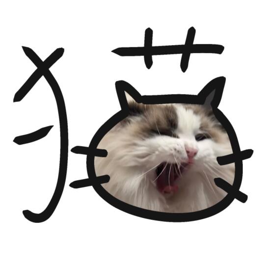 请泥看真实的咪！🐱