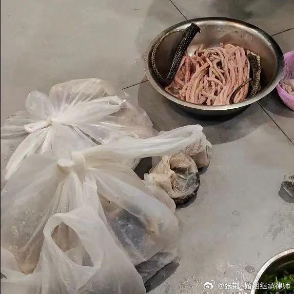 #上海一餐饮店查出65条活蛇##律师说法#有些餐饮从业者罔顾国家法律，加上食客们