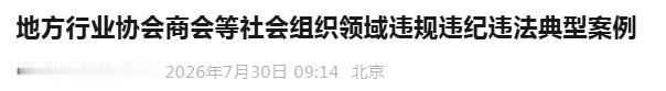 2026 年 7 月 30 日，民政部社会组织管理局对外发布行业协会违规典型案例