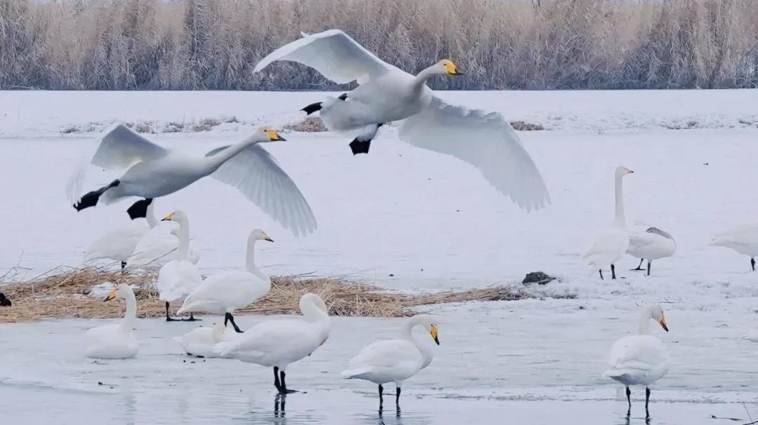 《人民日报》：自主定价不等于随意定价。根据相关部门2010年联合发布的《关于规范