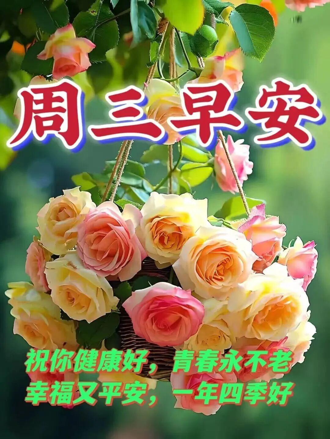 人生在世，拼的便是心态。烦恼无法减轻明日的重担，只会错失当下的快乐。于平淡流年中