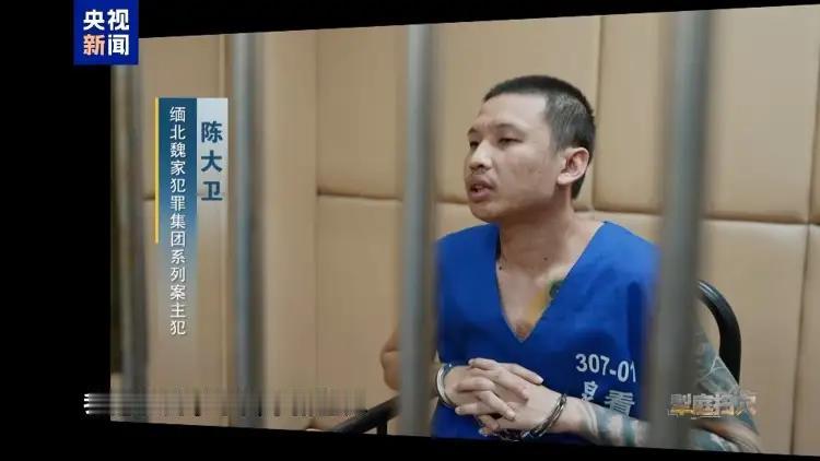缅北电诈集团的罪恶让人震惊，他们已经没有了基本人性，当地也没有了基本的法律，完全