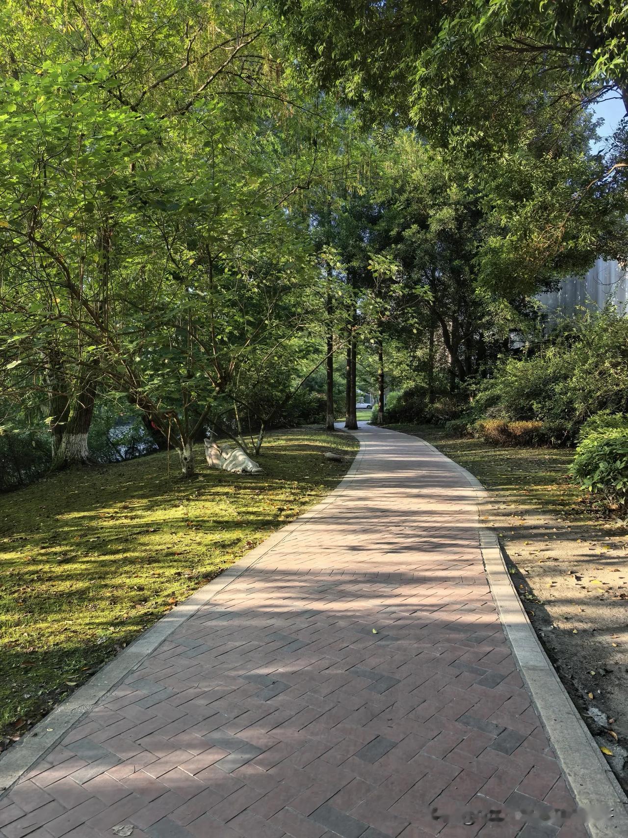 早上的温江，这里是温江哪里你知道么？温江 温江美景