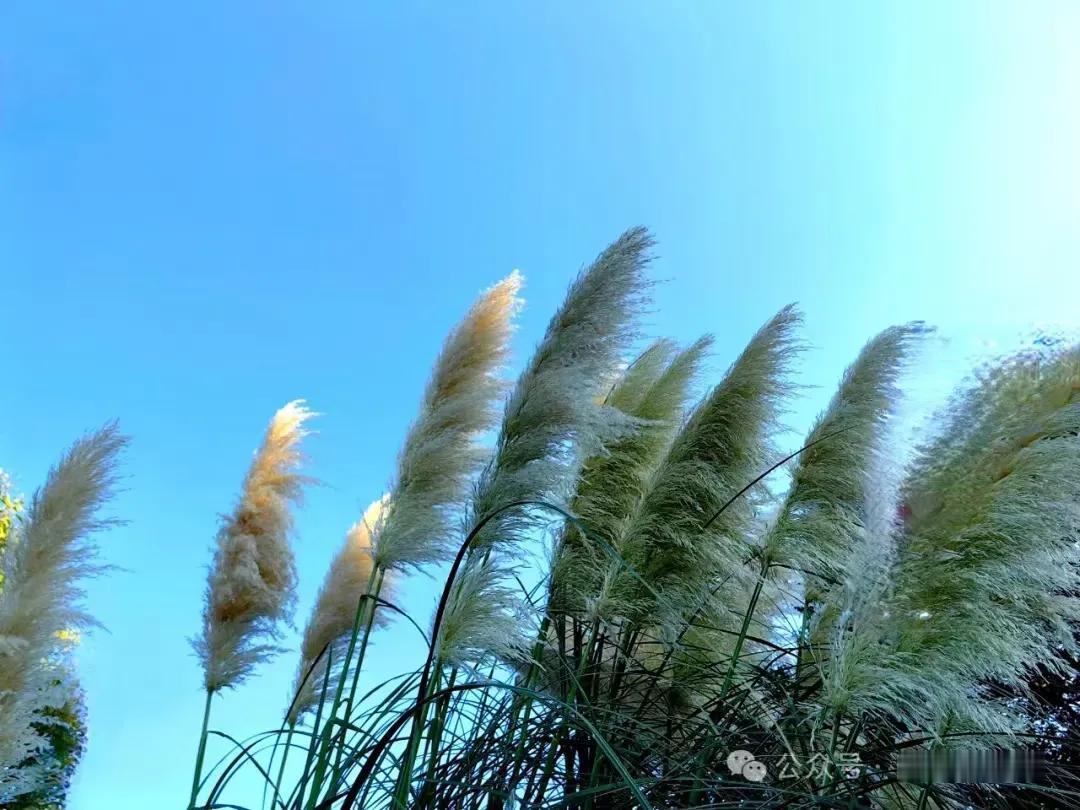 一场滂沱暴雨，宣布了夏天的终结和秋天的真正到来。
一直都说，大自然最遵守秩序，今
