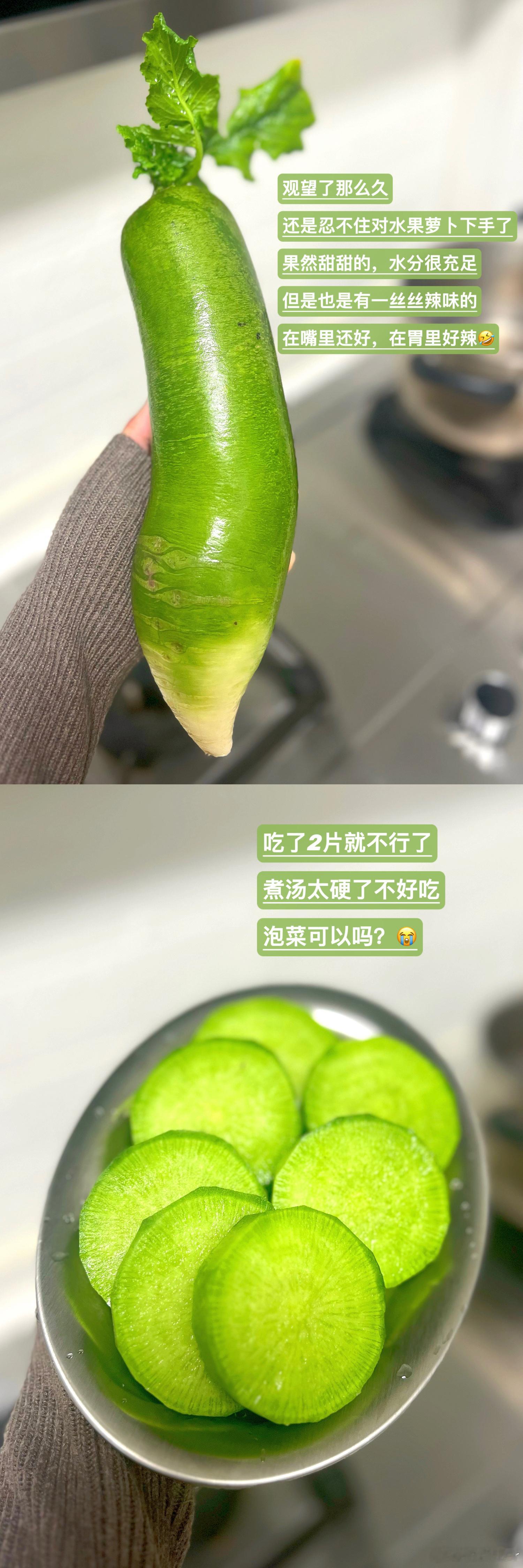 🐆阿豹的plog 77😆有人和我一样特别好奇😯水果萝卜是什么味道吗？最近因