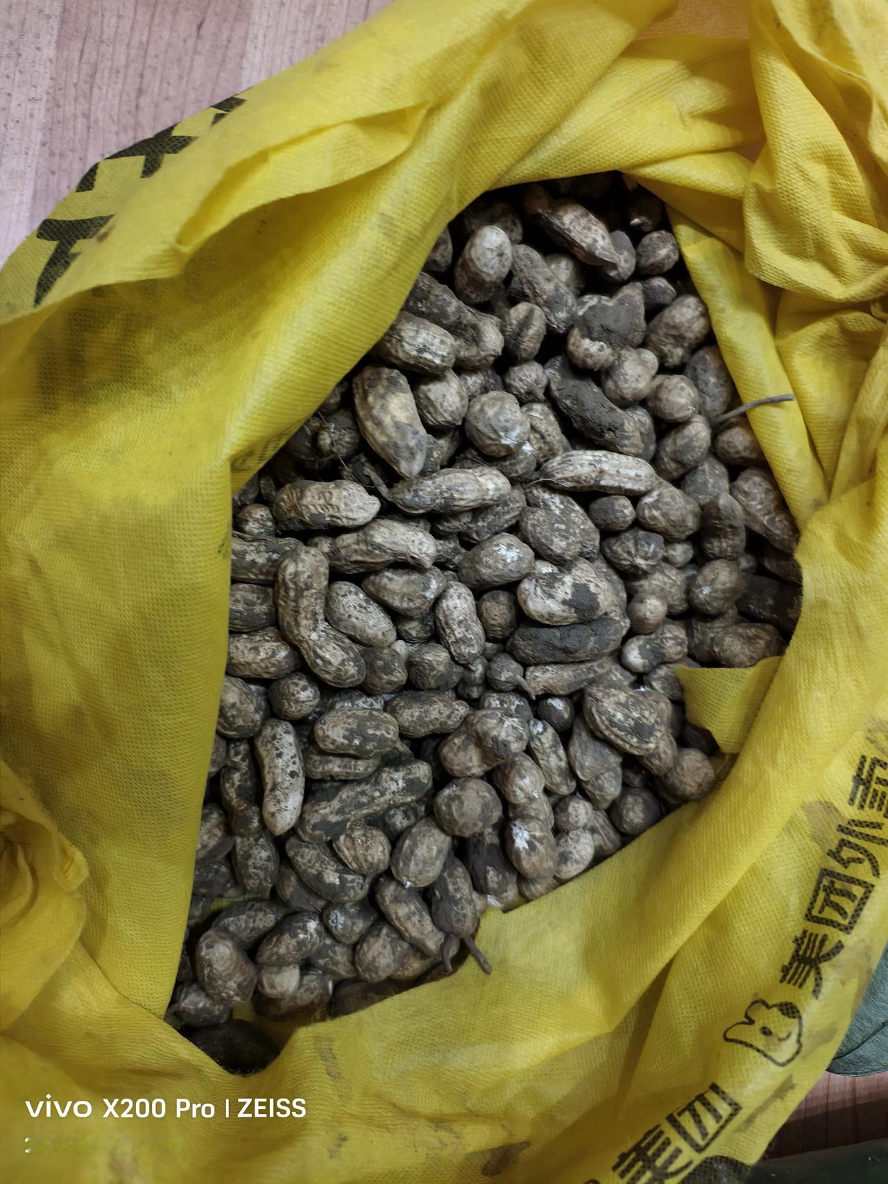 这是朋友自己种的。花生，冬瓜、南瓜和丝瓜，这是不加化肥的，完全用农家肥种出来的。
