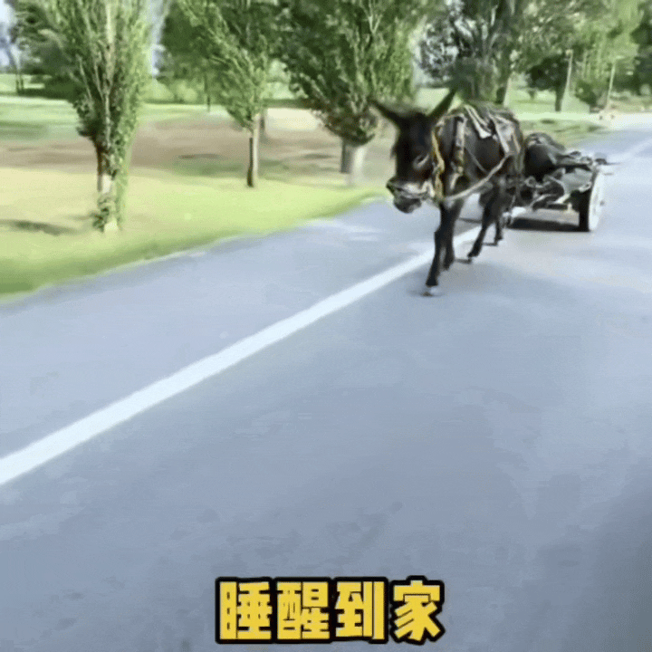 说起自动驾驶，听起来好像很高端的，其实这种活在中国古代早就有了。上车睡觉，睡醒到