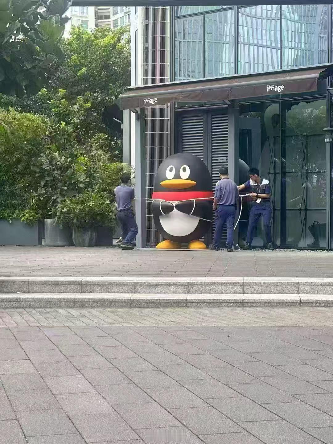 今日企鹅 ​​​