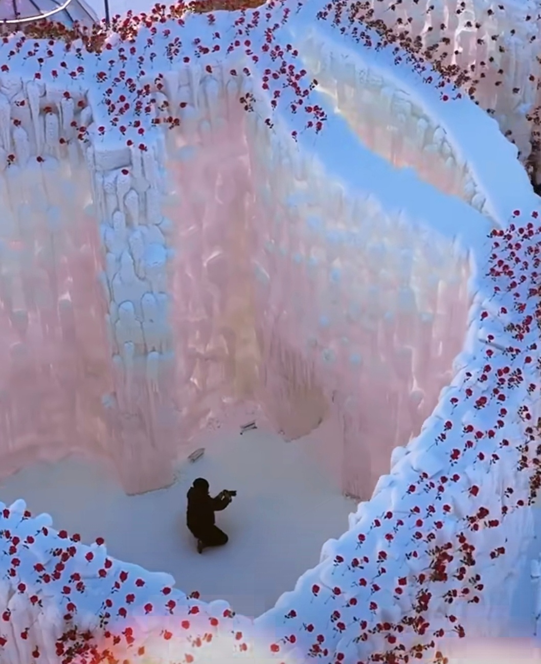 冰雪大世界建了超大玫瑰冰瀑哇塞！一定要坚持到我去哈尔滨啊！白天看晶莹剔透闪着光，