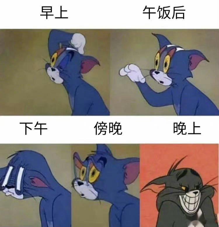 打工人的每一个工作日belike： ​​​