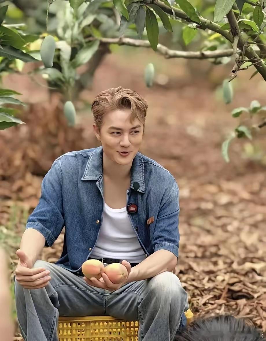 吴克群这个人不扒还不知道仔细扒了一下，才发现他真的实在是太真实了吧，怪不得这么多