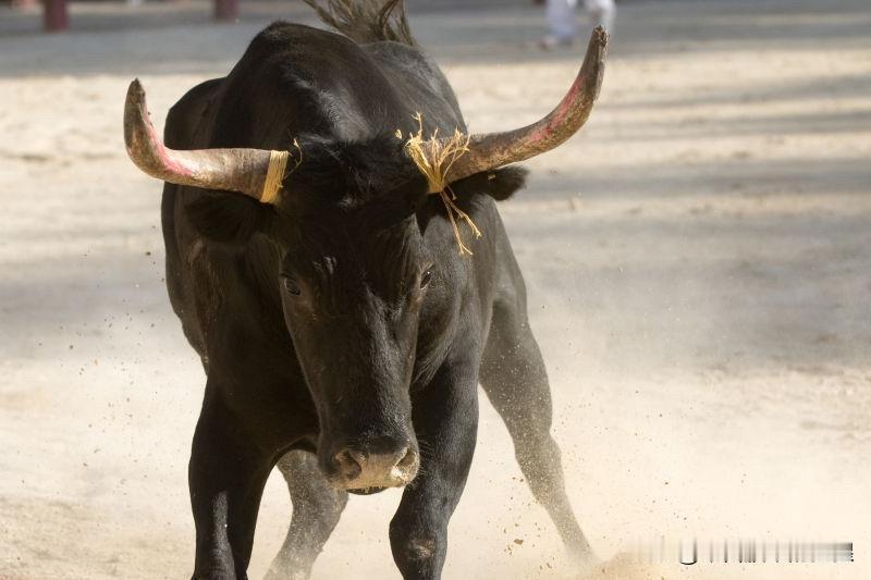 上午10:36， A股早盘放量大涨，沪指成功站上4100点

现在是上午的10: