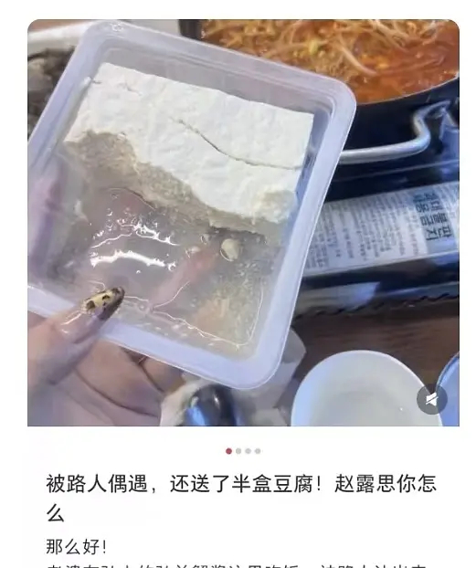 赵露思就这么处理垃圾 