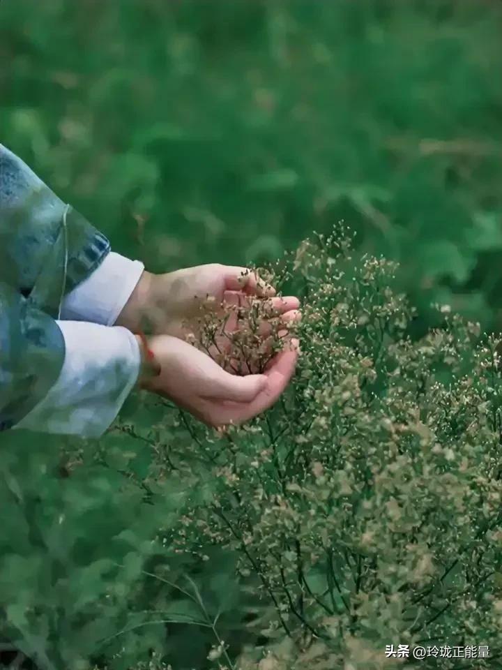 男人长寿的关键，在于管好自己的欲望
 
性学家非常现实的一段话，让我听了醍醐灌顶
