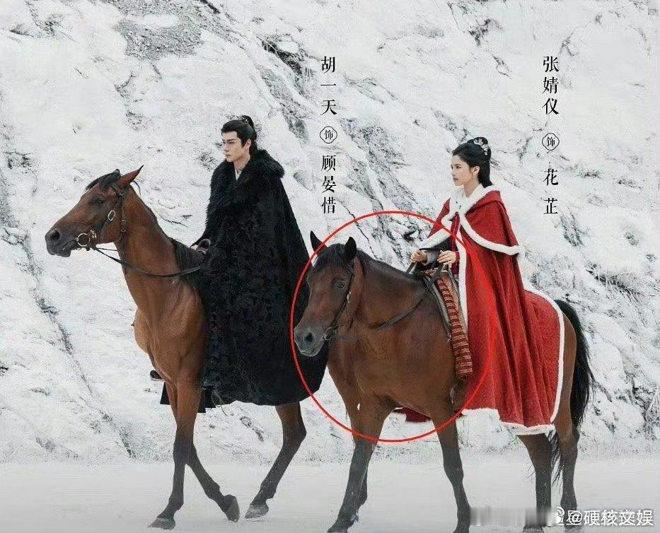 #张婧仪骑的马没脖子# 张婧仪《惜花芷》骑的马没脖子啊，哈哈哈笑死，这马🐴咋回