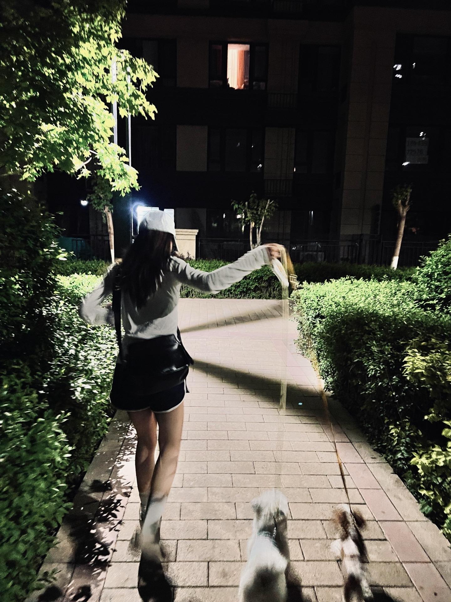 日子过的稀巴烂 但是看到小狗就很开心。
