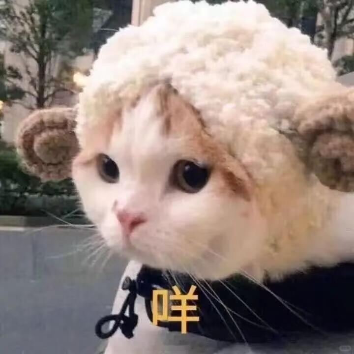 我来🈷️可以续🔥的宝子啦，主页高浓度70低浓度jjy帮我kk，抽一个5.2周