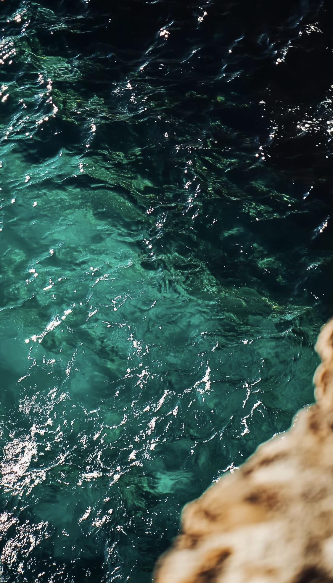 人一定要大量读书！

我发现长期读书的人都有一个共性：眼神里有光，心底有静气。